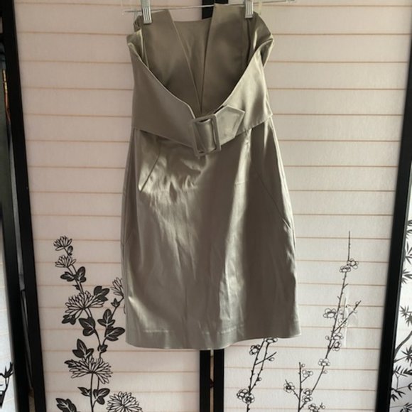 Silver Strapless Dress - Picture 3 of 3